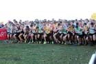 Start of the senior mens 2012 National Cross Country Relay Championships.